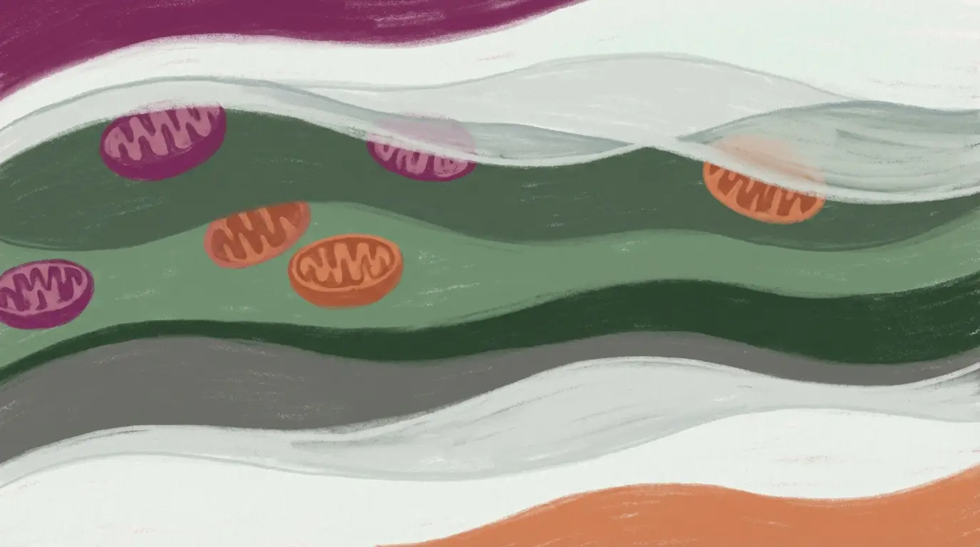 abstract art